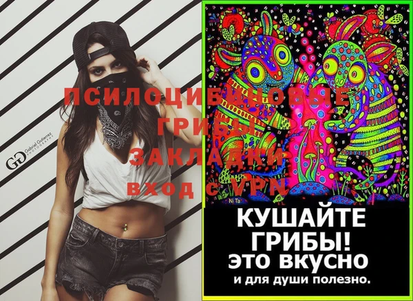 2c-b Лихославль
