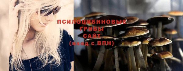 ГАЛЛЮЦИНОГЕННЫЕ ГРИБЫ Лабытнанги