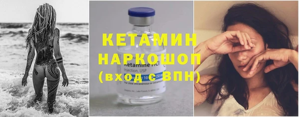 индика Ладушкин