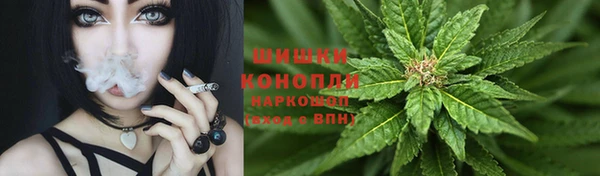 мдпв Лиски