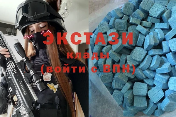 индика Ладушкин