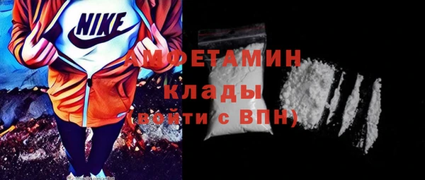 индика Ладушкин