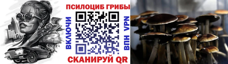 Псилоцибиновые грибы Psilocybine cubensis  Купить закладки  Бобров 